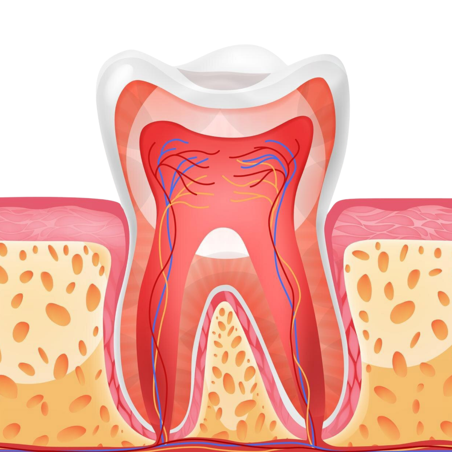 Root Canal Treatment